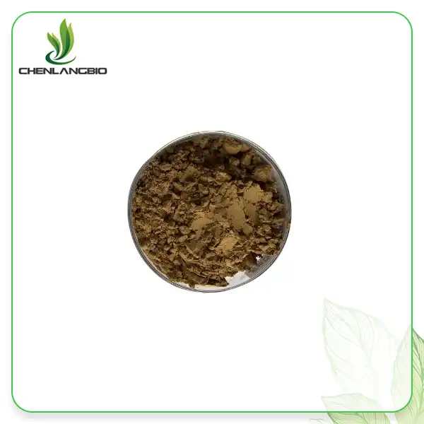 Hamamelis Virginiana Extract Hamamelis Virginiana Extract